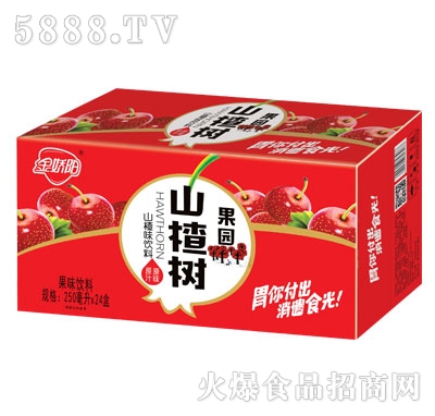 金嬌陽(yáng)山楂樹(shù)山楂汁飲料250mlX24