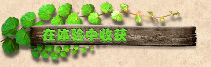 火爆感想