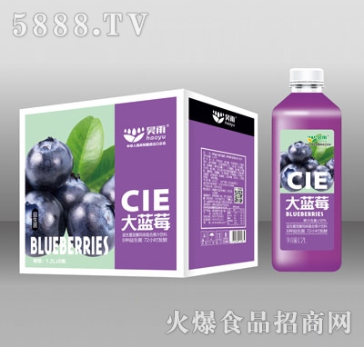 昊雨益生菌發酵藍莓果汁飲料1.2LX6
